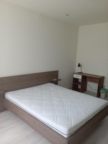 Thaly 5/1, Дебрецен (фото 8)