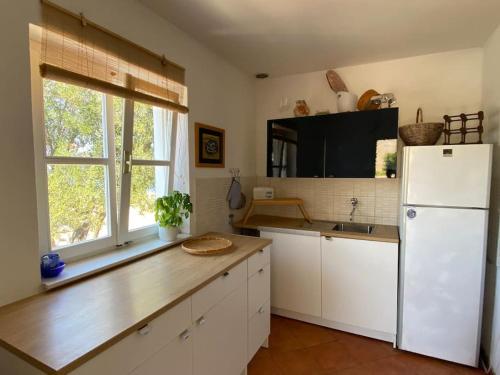Villa Samica - Kornati in Žut