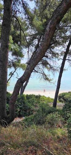 Sunny Seaside Villa-90 m from beach