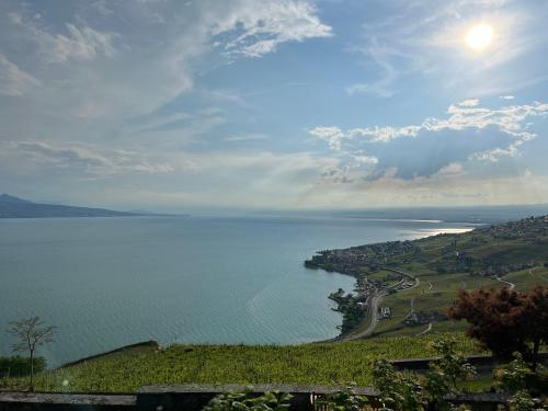 Terrasse de lavaux chambre privée