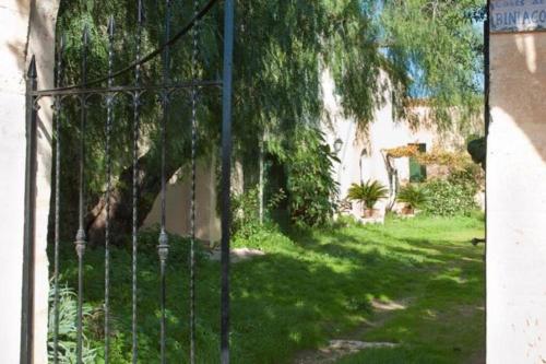Biniaco, Muro (Foto 9)