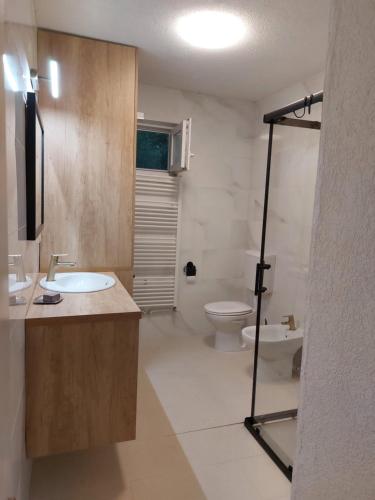 cabină de duș, Guest House Planinic in Citluk