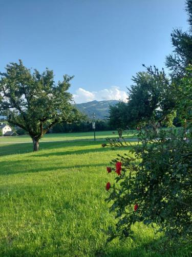 Aignerhof, Flachau (fotografie 10)