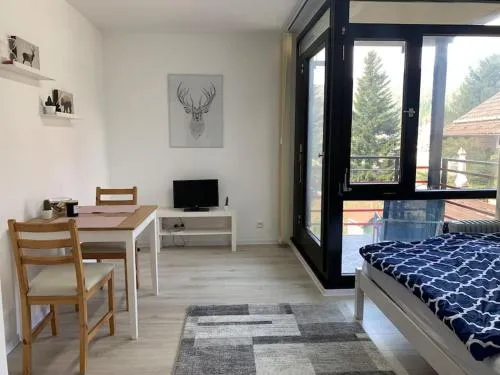 23 Kleines Einzimmer-Apartment in Bad Wildbad, Deutschland