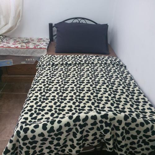 Beach Hostel