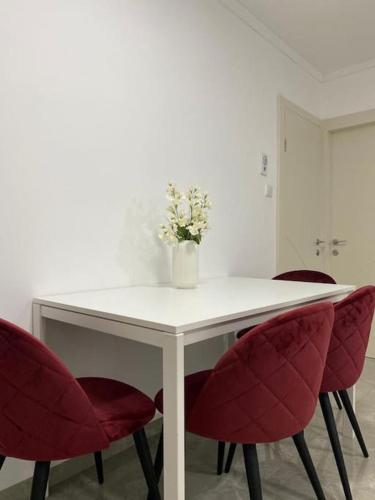 מצפה הכינרת in ซาเฟด