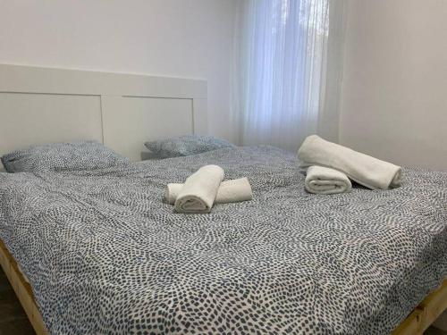 מצפה הכינרת in ซาเฟด