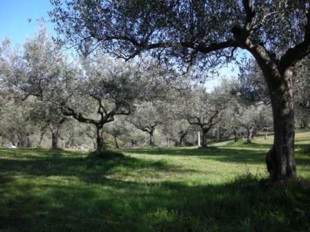 Apkārtne, Agriturismo Il Tratturo in Cugnoli