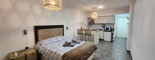 . Conesa Suite