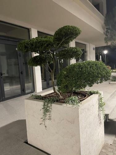 SUNNY STUDIO AZUR SUNNY STUDIO AZUR