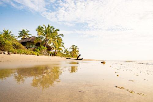 . Simply Saadani Camp, A Tent with a View Safaris