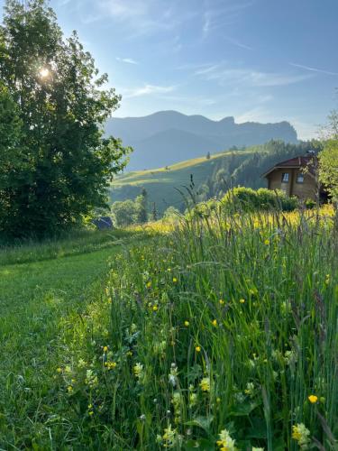 Tauglerei Appartement Enzian in den Zauberbergen