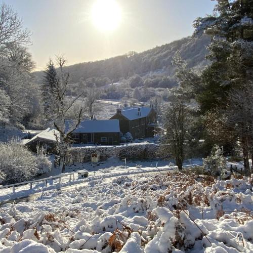 Apkārtne, Grove House Levisham in Levisham