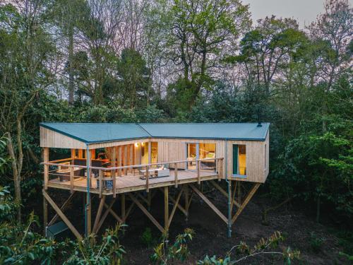 RewildThings Treehouses - Chalet - Gloucester