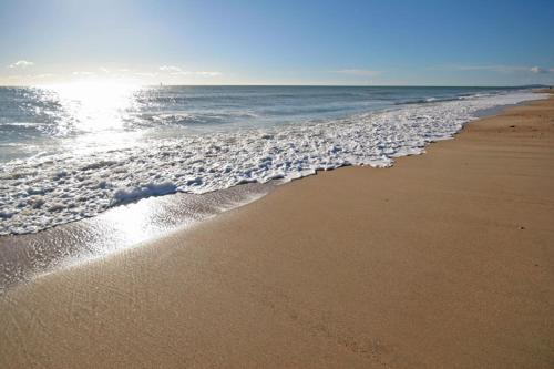 APPARTEMENT T2 4 PERSONNES LES PIEDS DANS L EAU ENTRE LA GRANDE MOTTE ET PALAVAS A CARNON PLAGE