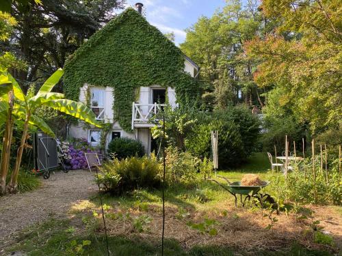 Chambre bananier: maison arborée face à la rivière