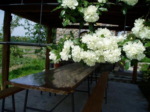 Agriturismo Podere Micitto in Roccalbegna