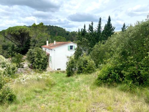 Zen Experience including Yoga & Healthy food in Ladern-sur-Lauquet