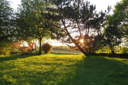 Ostwind in Boren