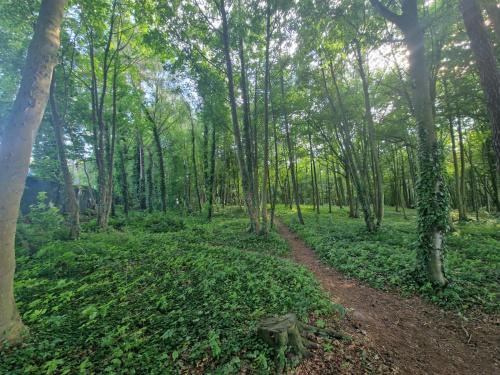 Ośrodek Promenada- Horyzont - image 4