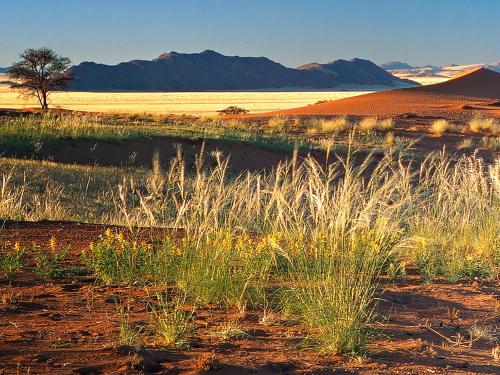 Surrounding environment, Gondwana Namib Desert Lodge in Sesriem