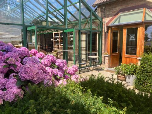 Tannine et Cuisine gîte à louer Kroonhoek