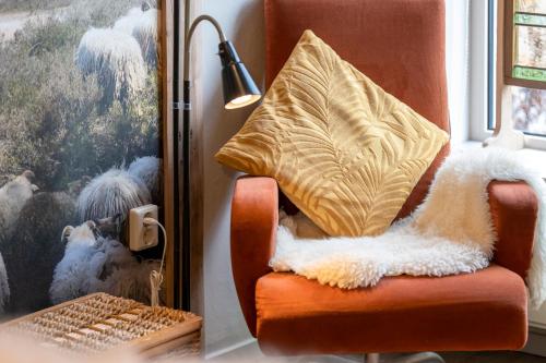 B&B de Ster van Dwingeloo – Dwingeloo, TX