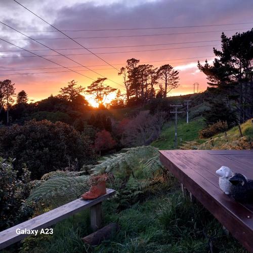 Cosy Country Cottage on a Sunny Hill - Chalet - New Plymouth