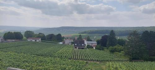 Maison au Coeur du Vignoble Champenois