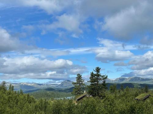 Linnaeus - 6 person cabin in โอล