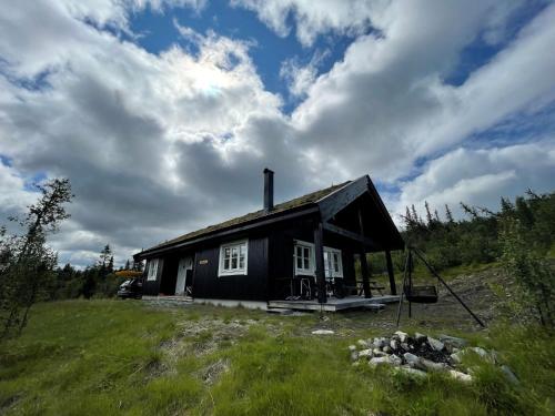 Linnaeus - 6 person cabin, Ål (foto 2)