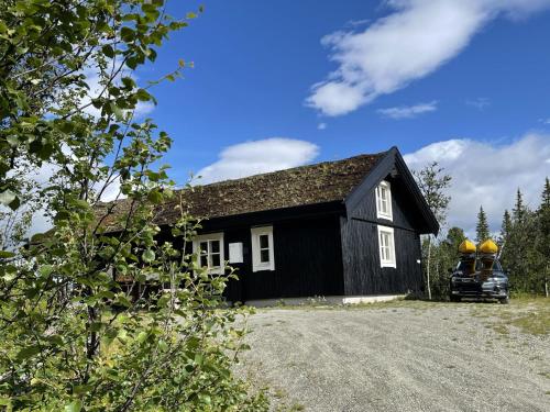 Linnaeus - 6 person cabin, Ål (foto 6)