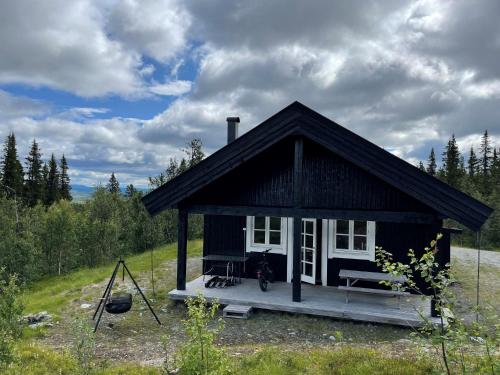 Linnaeus - 6 person cabin, Ål (foto 5)