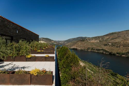 타부아코 Quinta São Luiz The Vine House Douro (Quinta Sao Luiz The Vine House Douro) 4성급 게스트하우스 레스토랑
