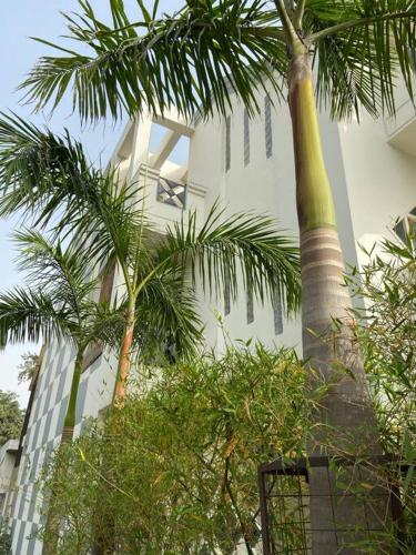 MANNAT The Corner Bungalow