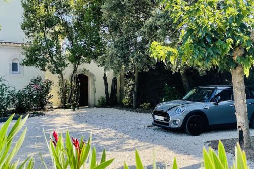 Le bastidon - Fontvieille in ฟองวิเย่