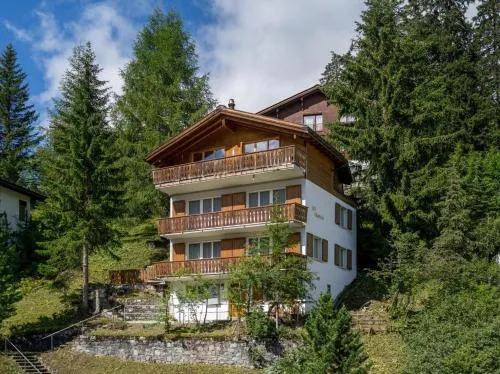 Les Chamois in Arosa, Schweiz
