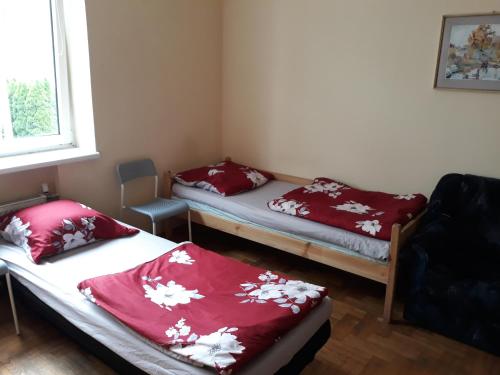 Macedonia Home, Varšava (fotografie 9)