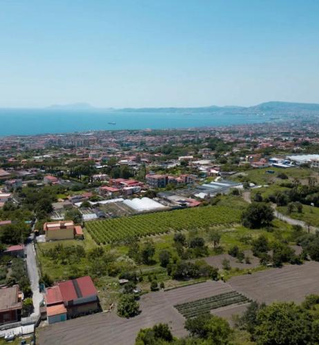 [Free Parking] Ercolano Scavi