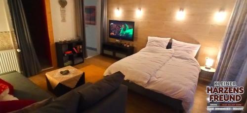 Arode Kleiner Harzensfreund