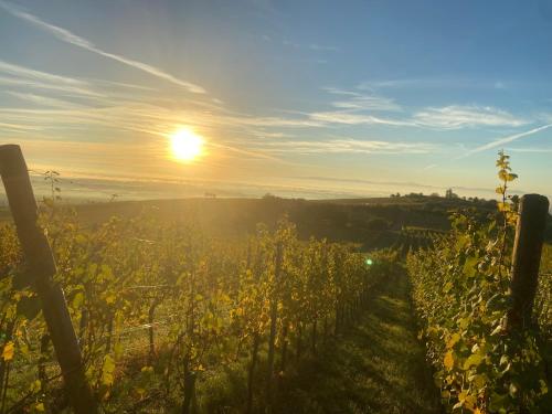 Charmant et chaleureux gîte dans le vignoble