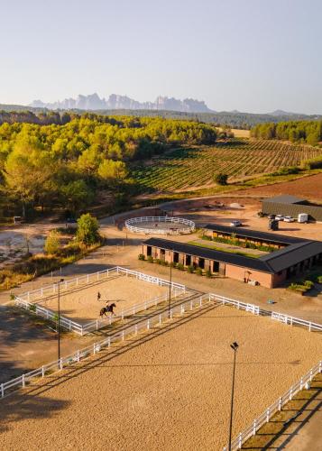 Les Cabanes de l'Oller del Mas