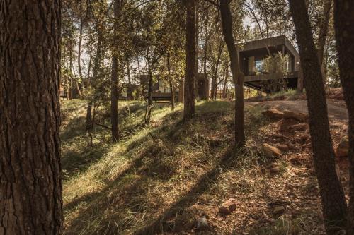 Les Cabanes de l'Oller del Mas