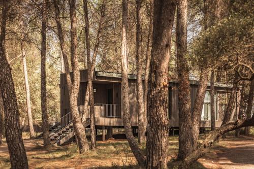 Les Cabanes de l'Oller del Mas