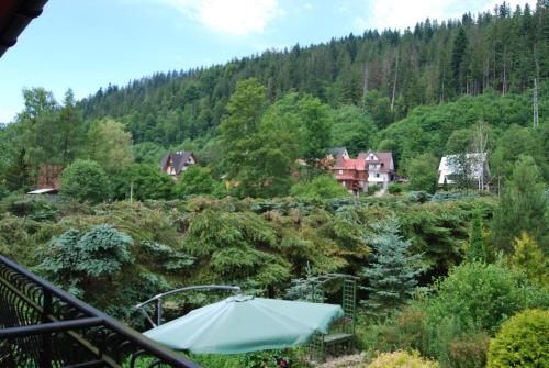 สภาพแวดล้อมโดยรอบ, Willa Pod Bandera in กาเมียนเนียซ