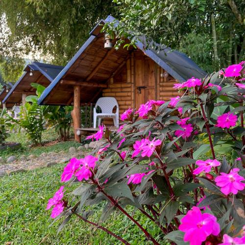 Camping lagos de venecia