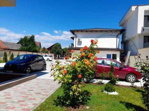 Boutique House - image 13