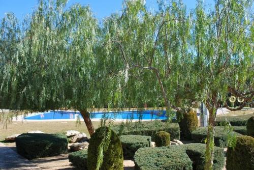 Appartement résidentiel avec jardin et piscine