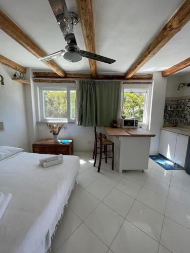 Marbnb Appartamenti Ponza Centro porto Casa Luisa, Unterkunft in Ponza