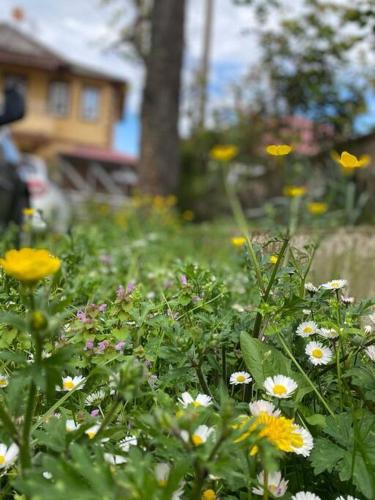 Aydın Villa Bengisu/Trabzon. Şehir merkezinde.